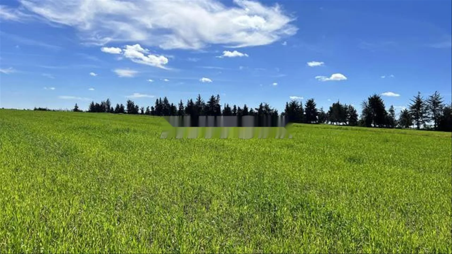 Terrains titrés à vendre à Bir Jdid pour l'agriculture et l'investissement