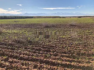 ✨ 4,28 HA d'Exception à 19 km de Marrakech ✨