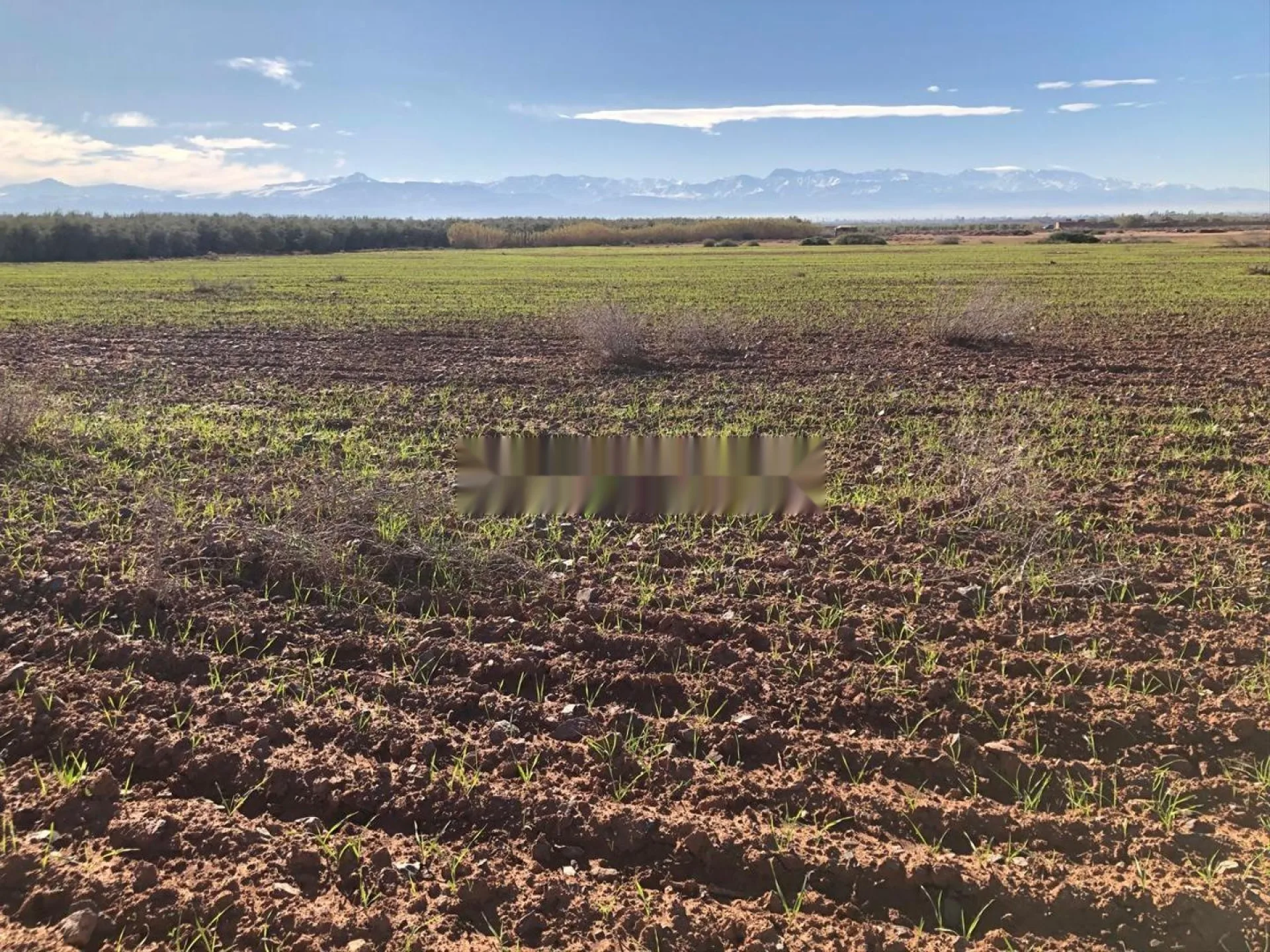 Terrain Prestige 4,28 HA - Vue sur l'Atlas