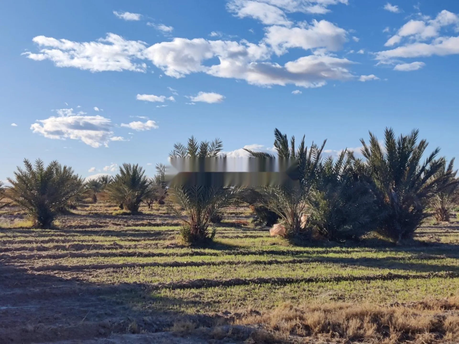 Ferme 3,5 ha, villa 143m2