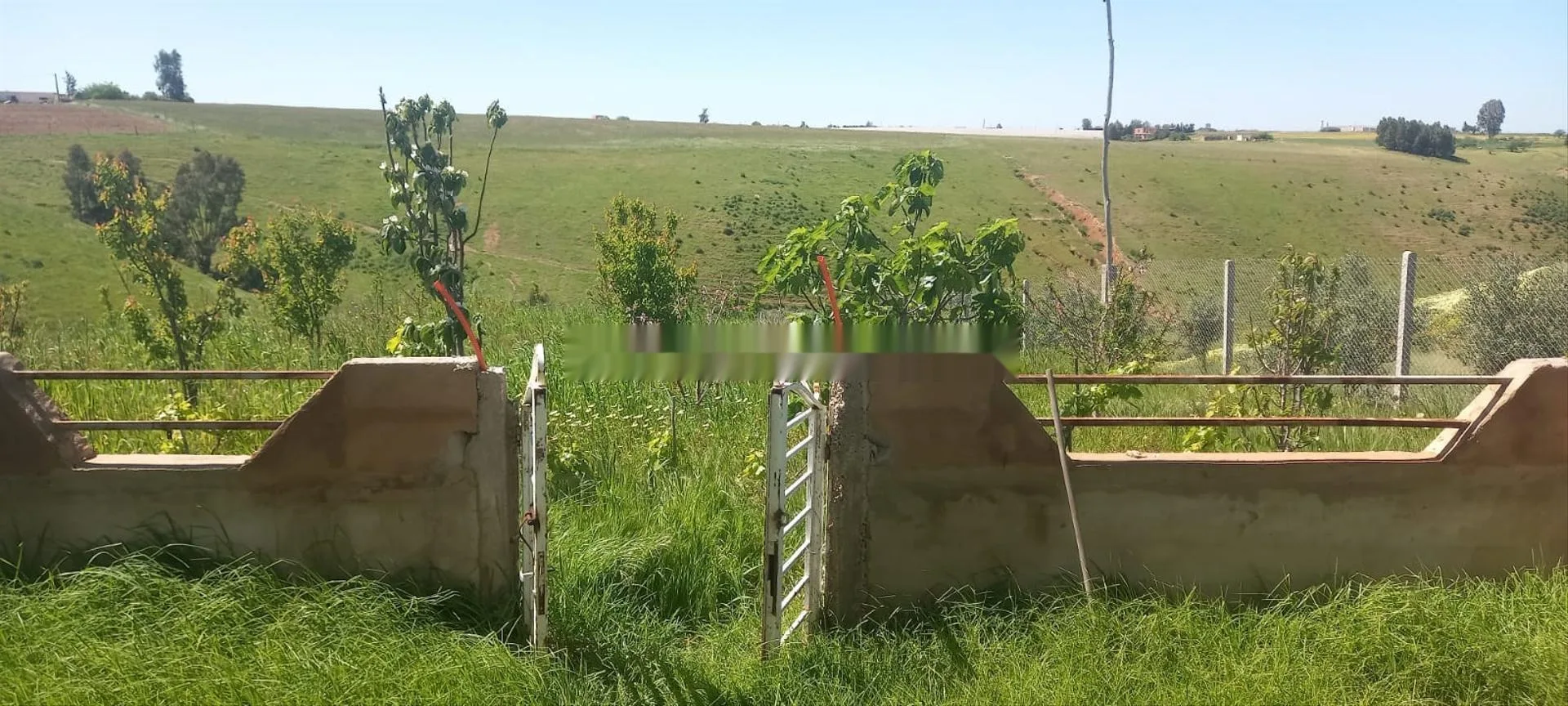 Terrain agricole avec maison et puits