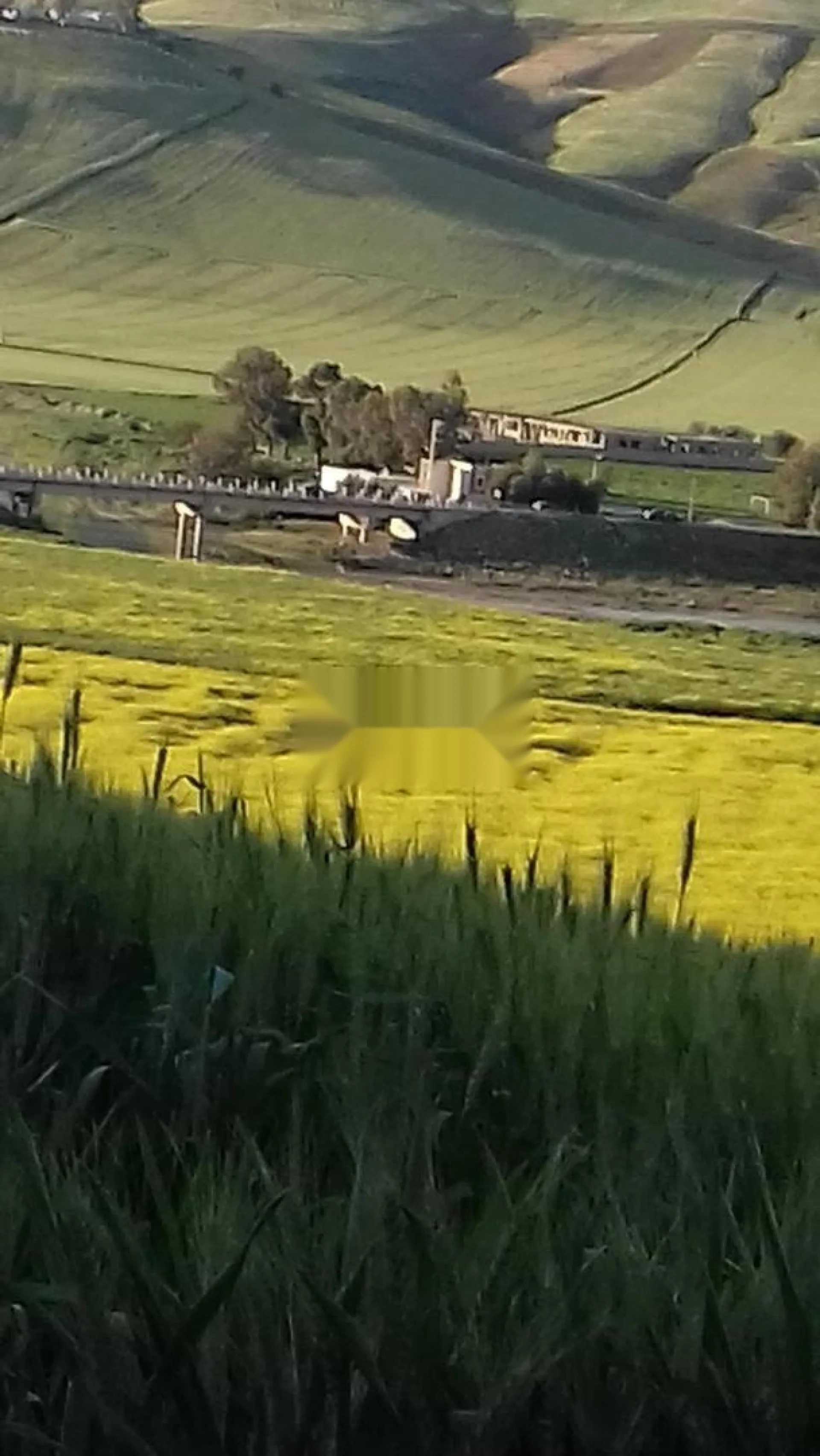 Ferme agricole titrée, Oued Leben Rte de Taounate