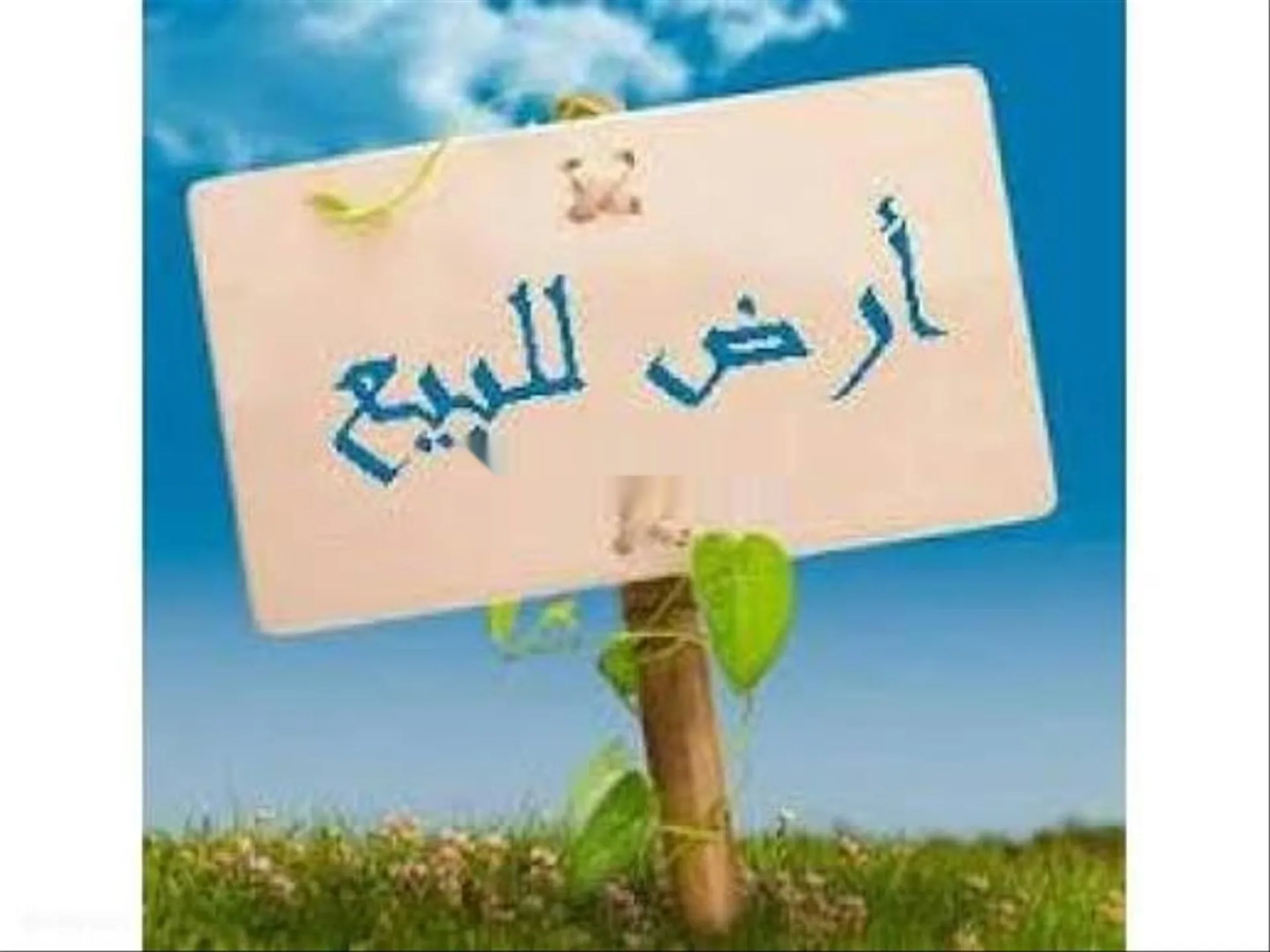 فرصة استثمارية استثنائية