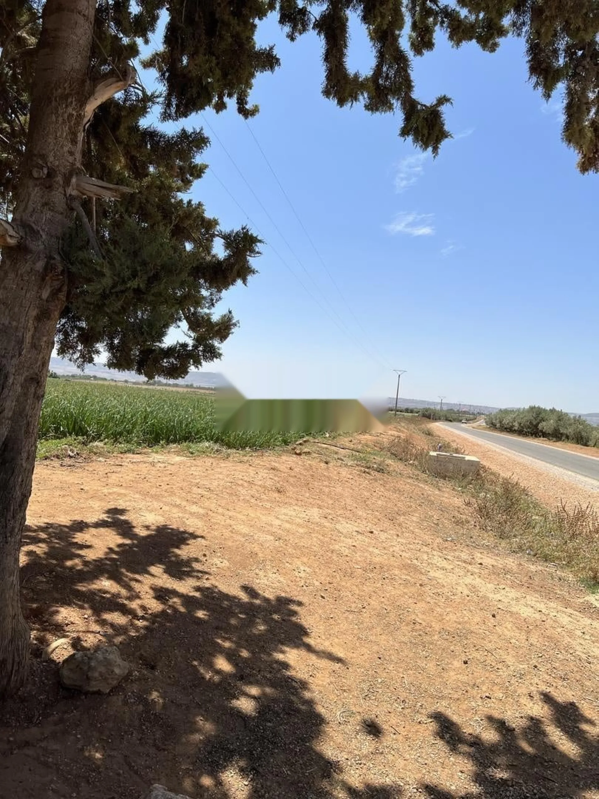 1 hectare et demi à vendre