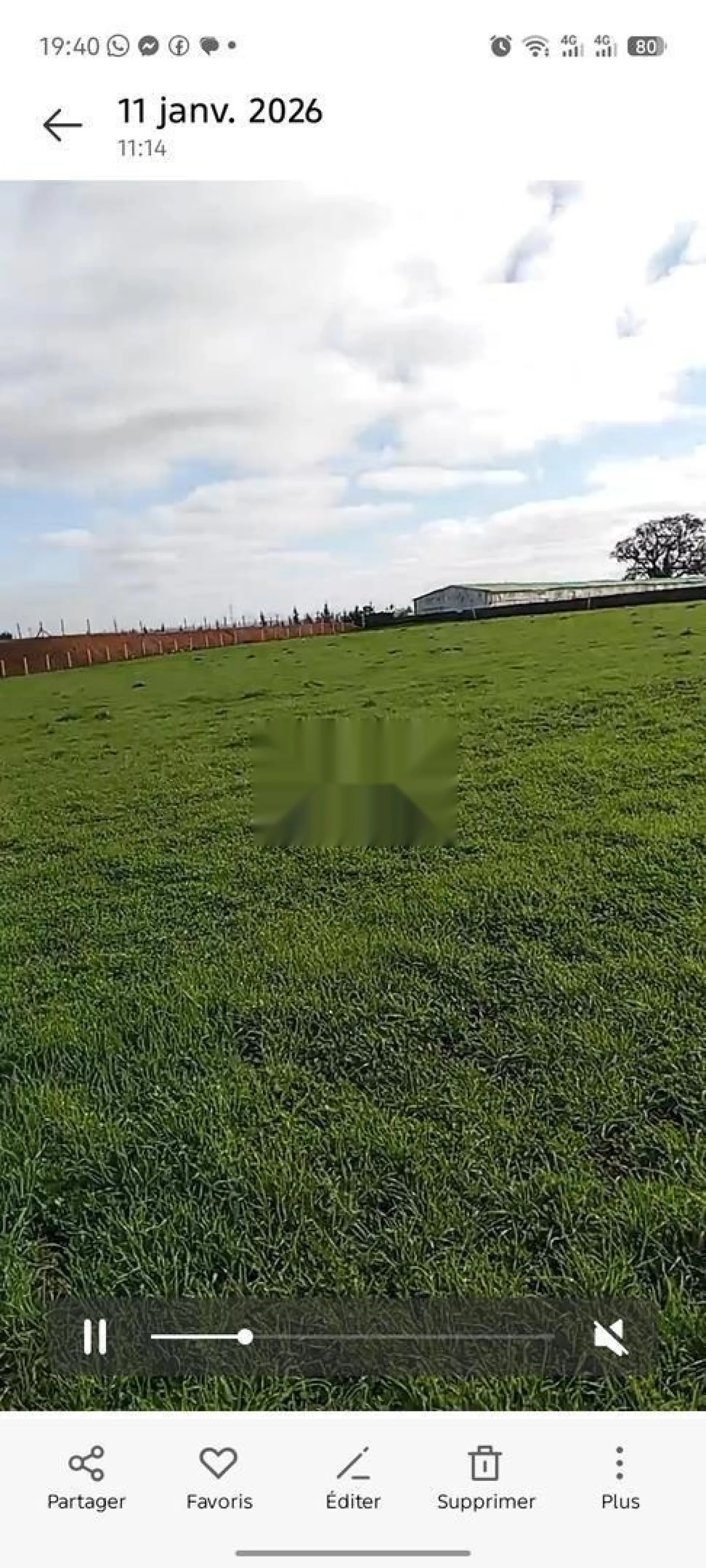 أرض فلاحية محررة