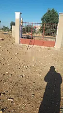 نعمة. مدينة وجدة