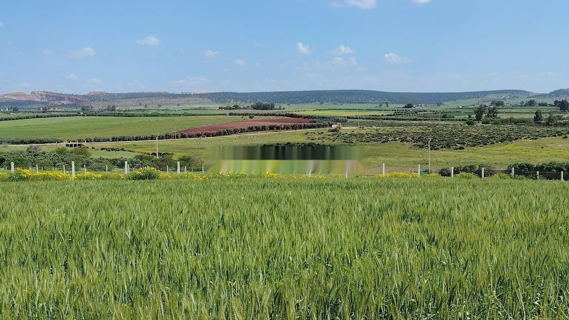 Vente de Terrains & Villas Titrés