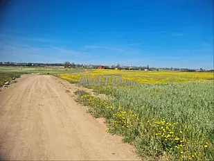 Vente de Terrains & Fermes Titrés