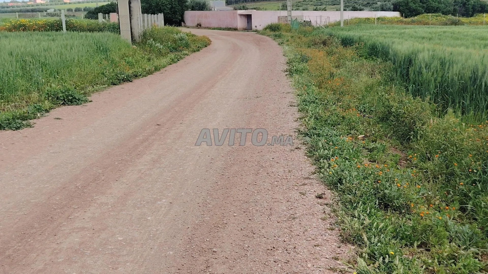 Vente de terrains & fermes titrés - Tnine Chtouka