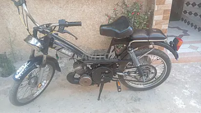 Développeur à vendre, pur