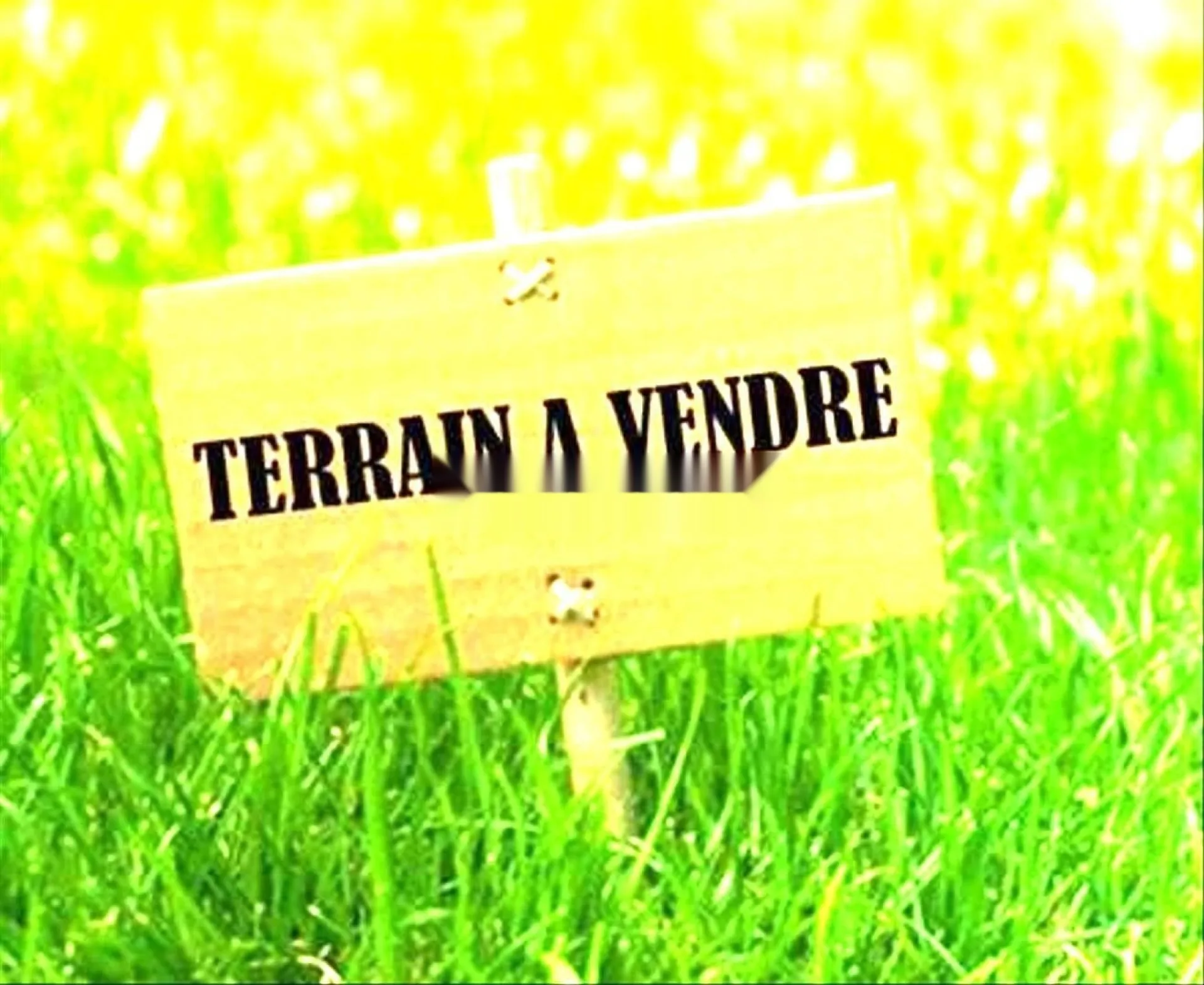 Terrain à vendre