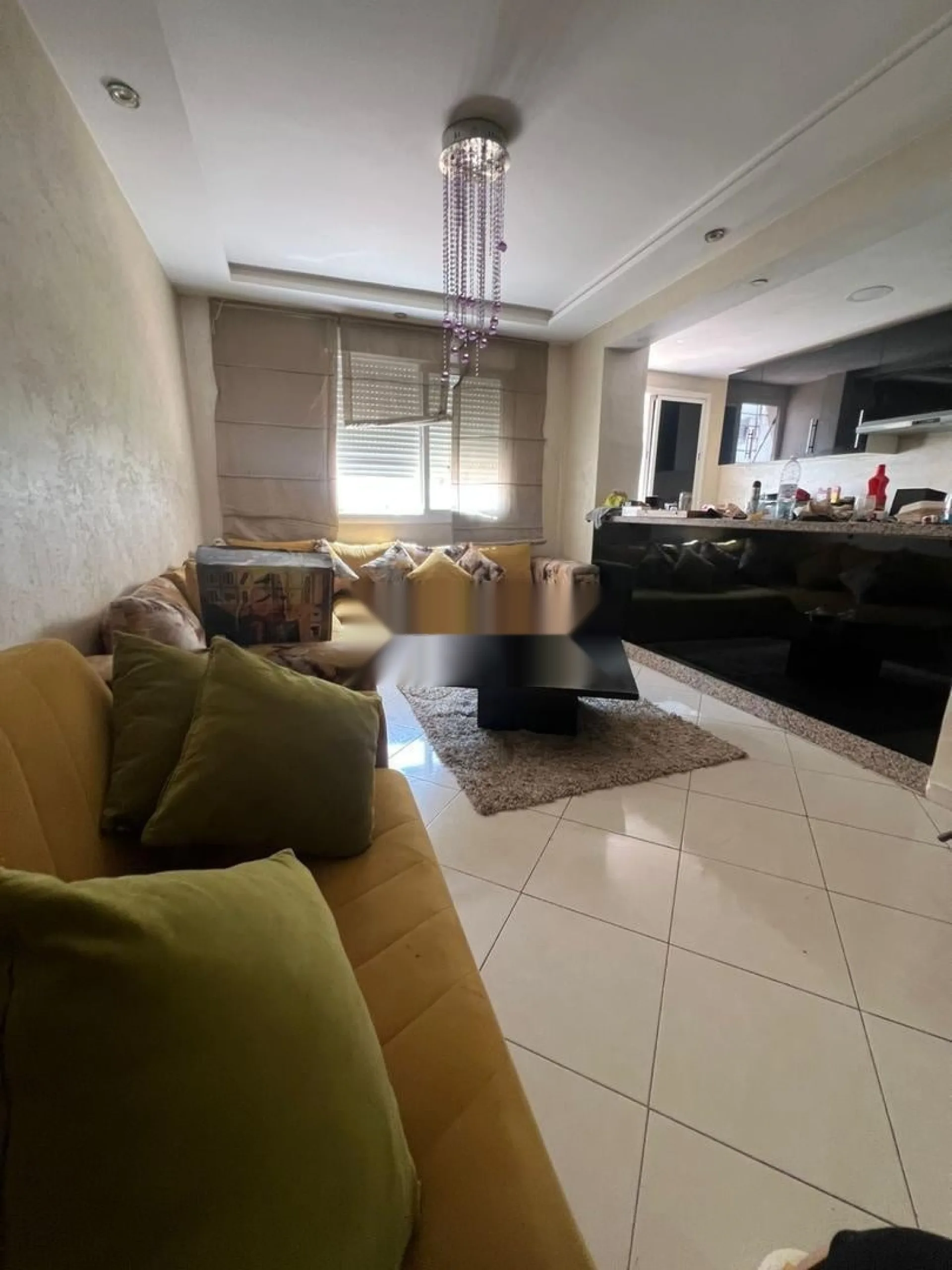 Appartement rénové meublé 54 m² à vendre