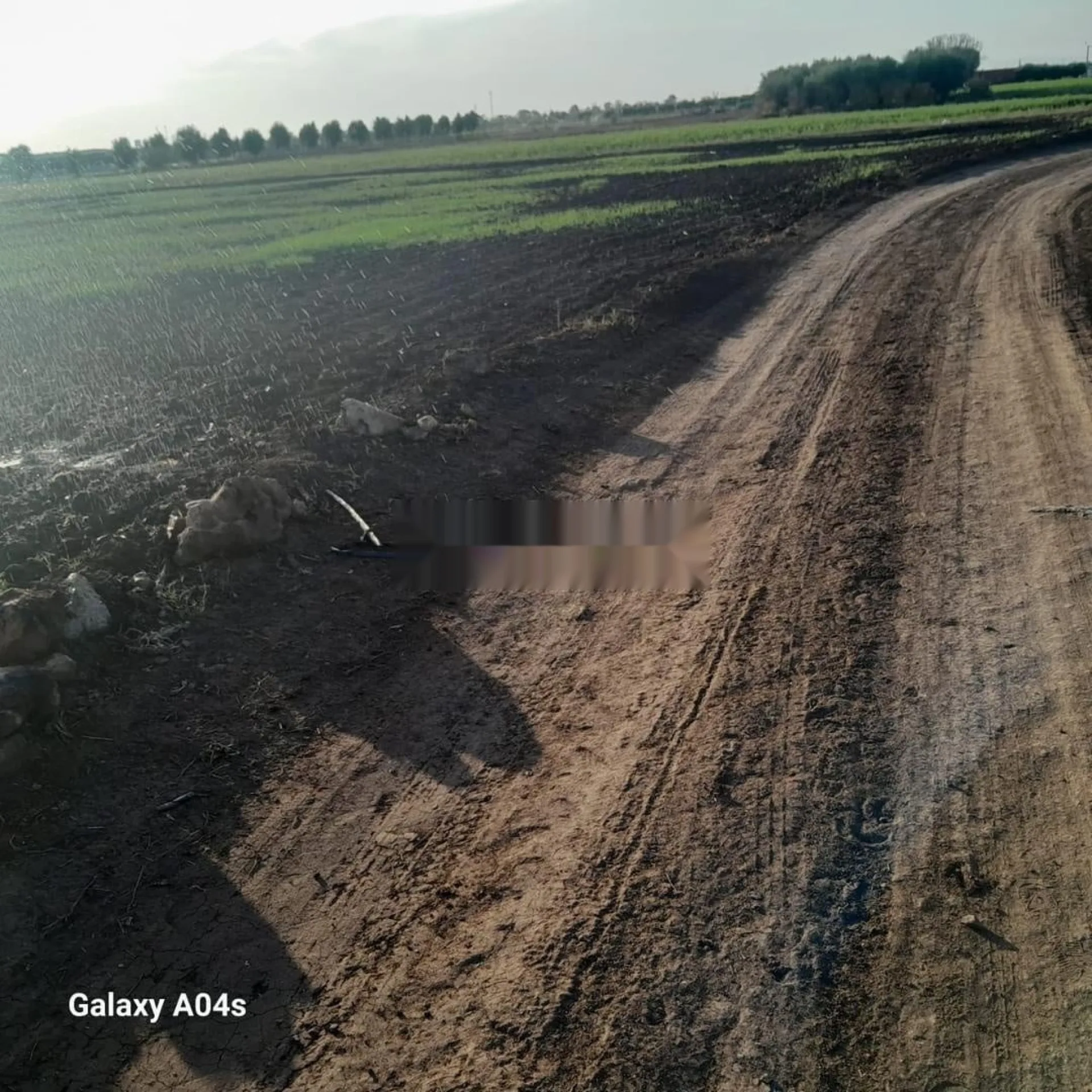 Terrain agricole carré 7000m²