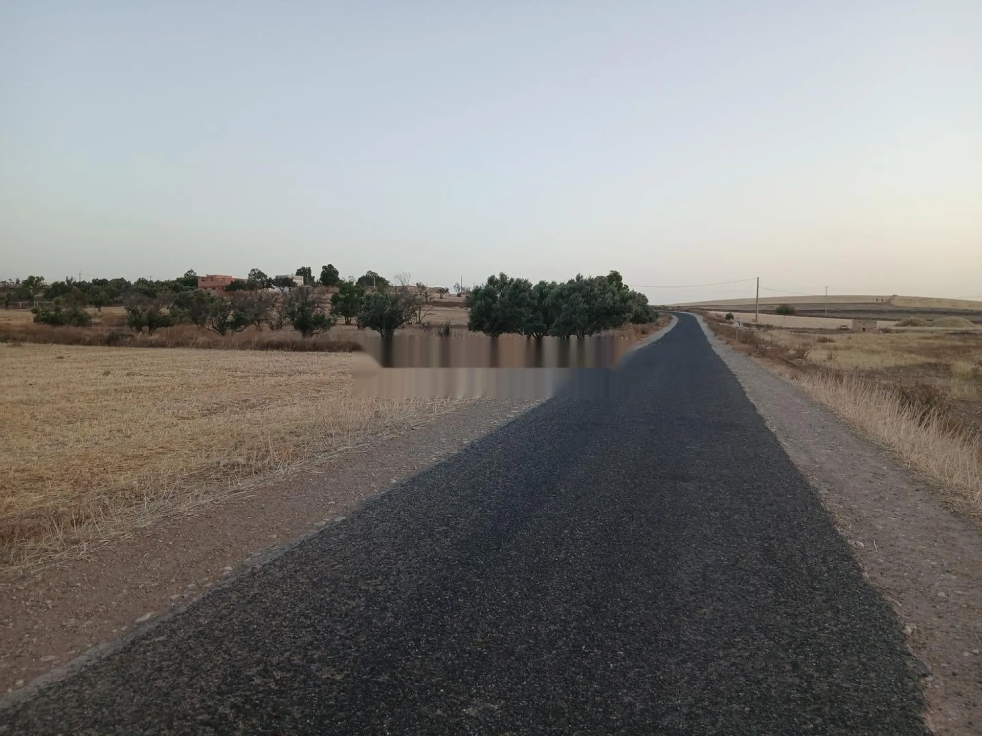 Un terrain de la région d'Essaouira