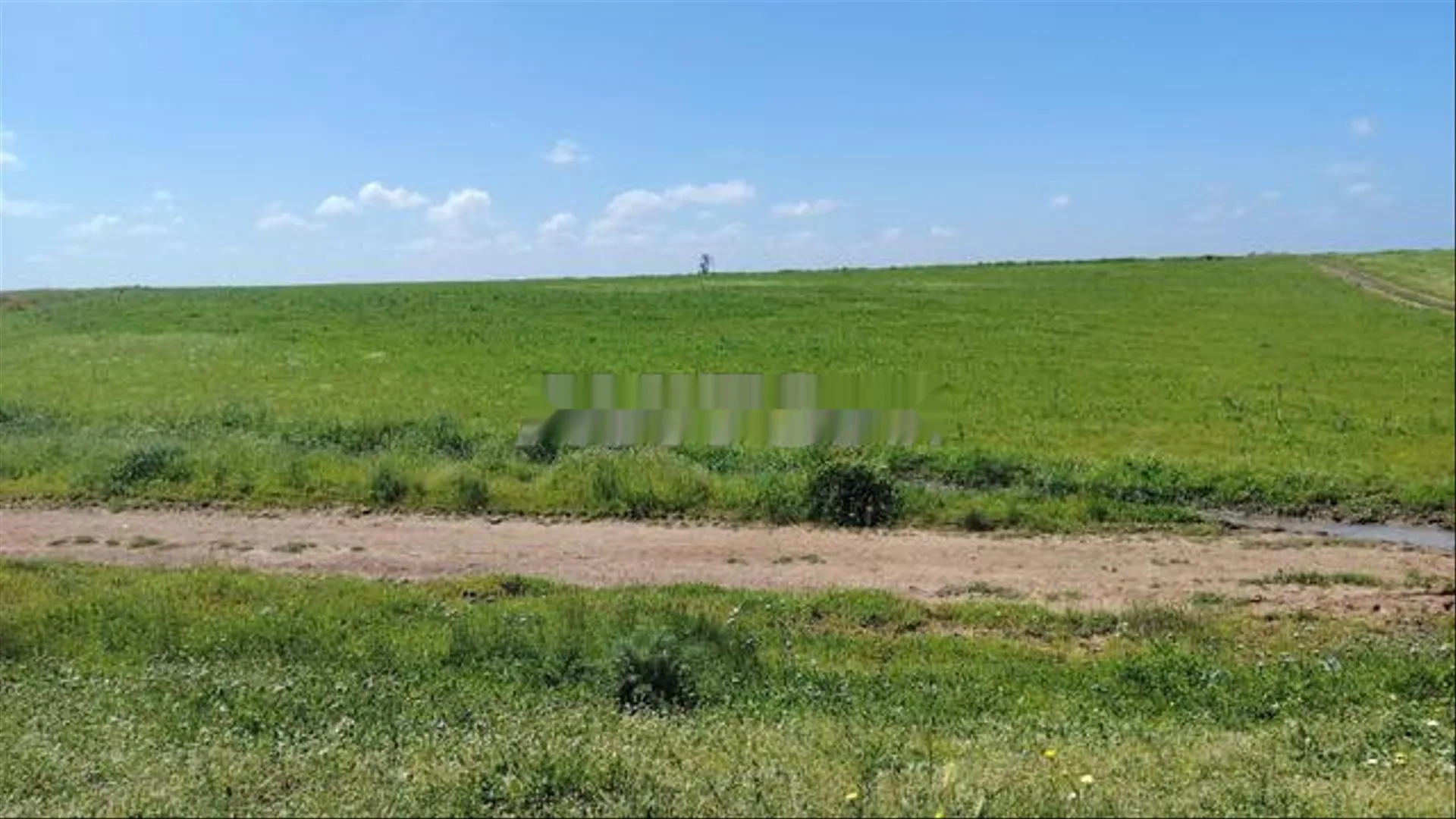 أراضٍ مُحررة السندات ببئر الجديد للسكن أو الاستثمار