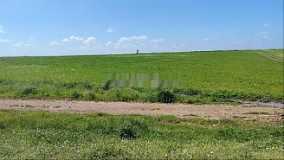 أراضٍ مُحررة السندات ببئر الجديد للسكن أو الاستثمار