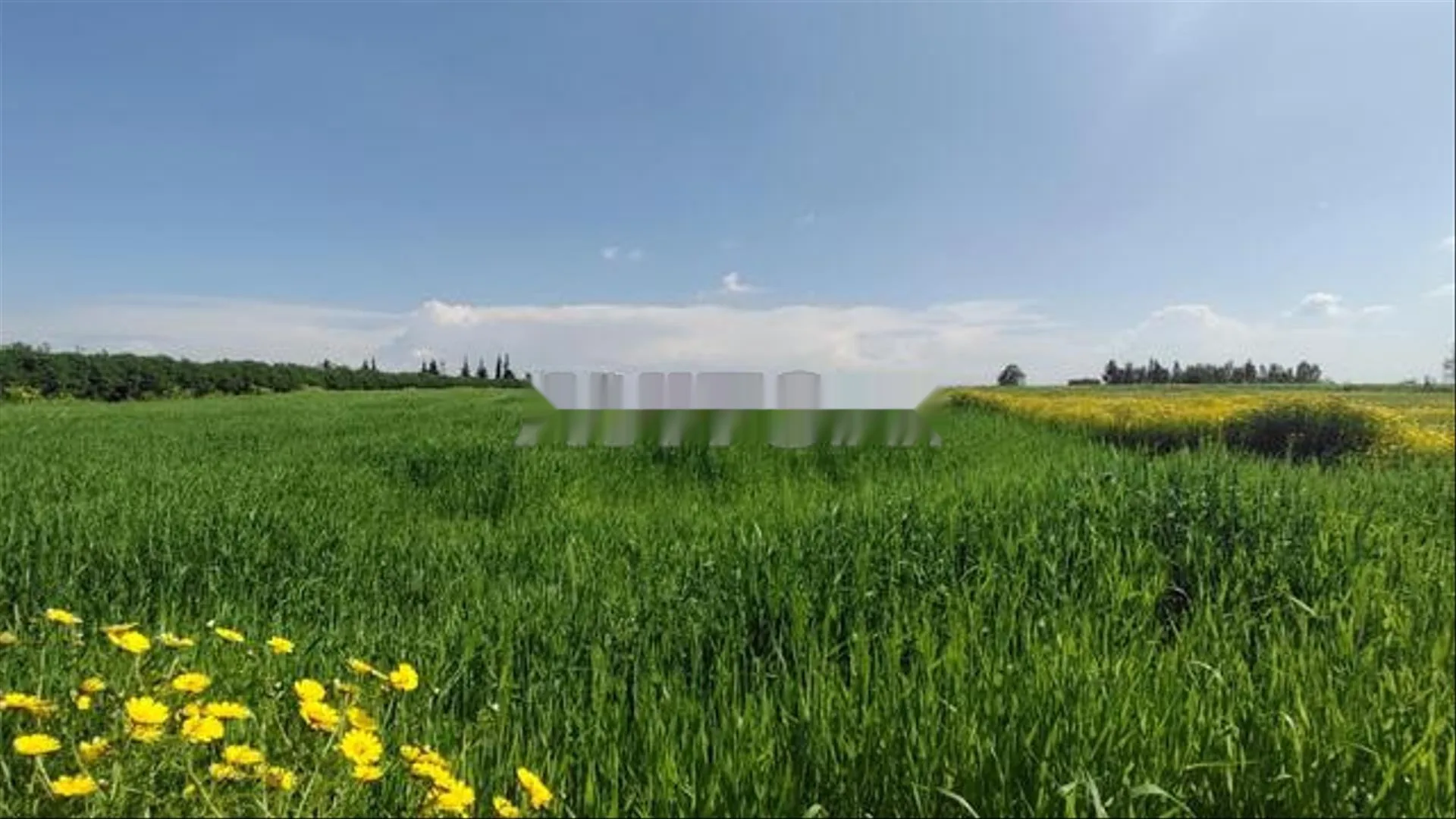Terrains titrés à Azemmour - Pour habitation et investissement