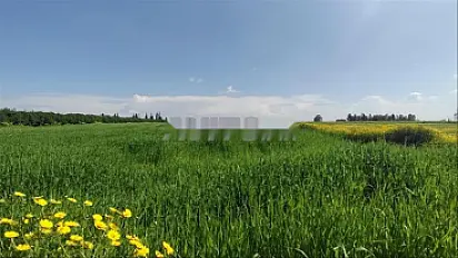 Terrains titrés à Azemmour - Pour habitation et investissement