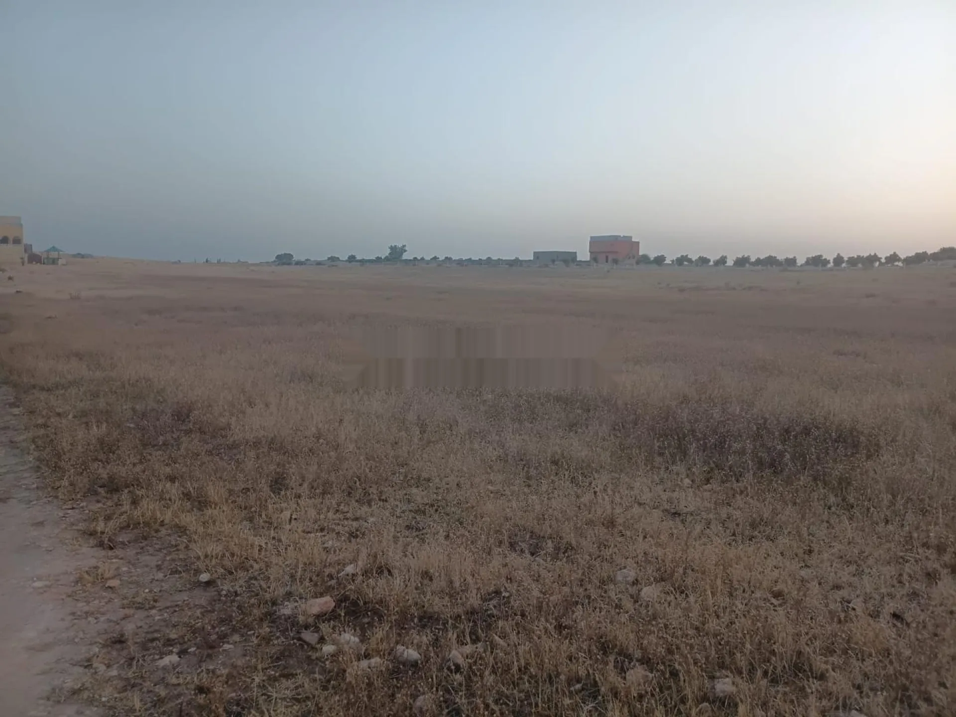 Terrain agricole à vendre près de Safi