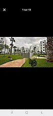 شقة للإيجار 90 م²