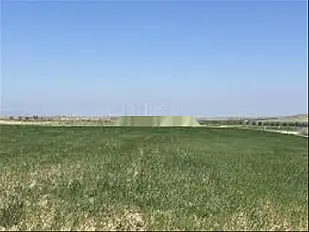 أراضٍ مُحررة السندات ببئر الجديد للسكن والاستثمار