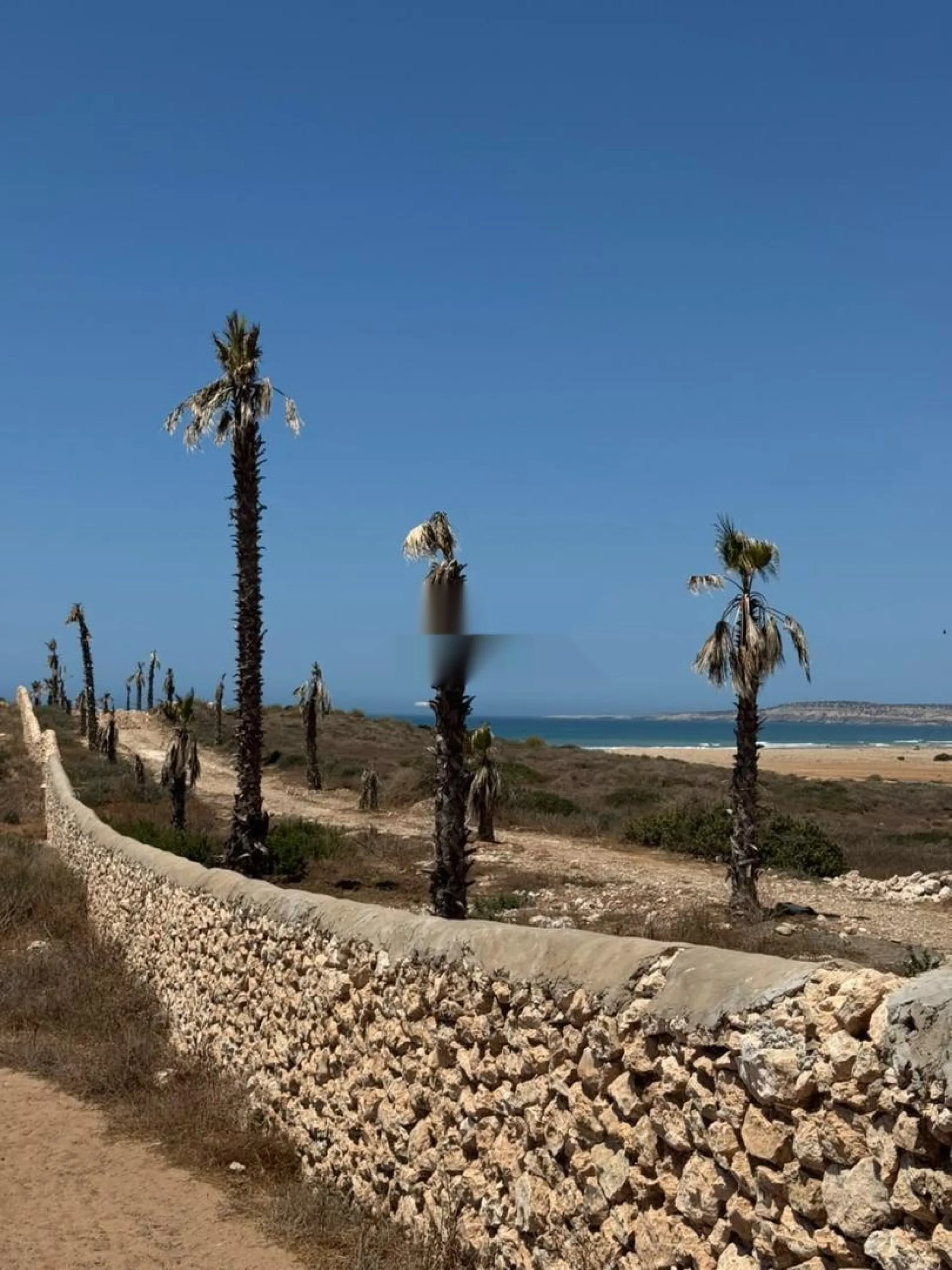 Terrain 4,9Ha à Sidi Kaouki Vue Mer Projet touris.