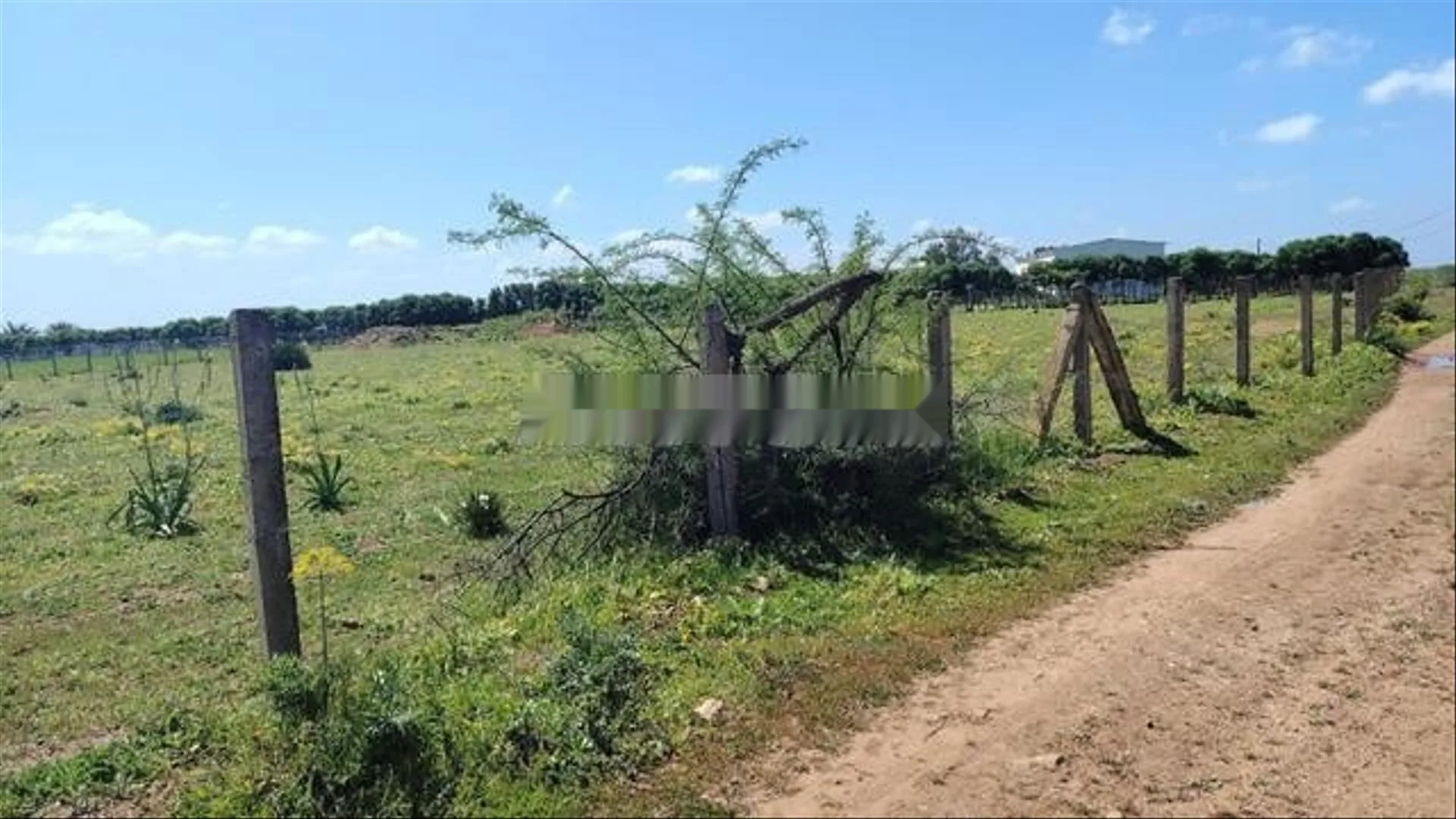 Terrains, Fermes & Villas titrés · Tnine Chtouka
