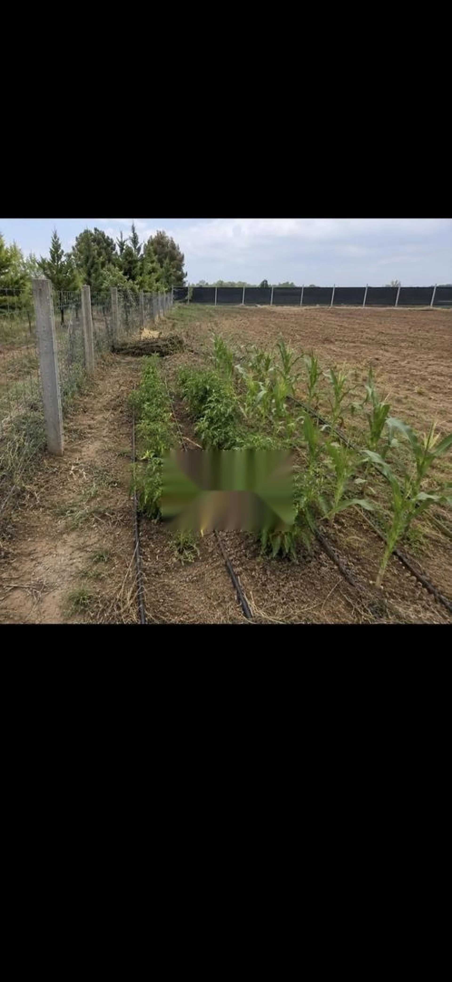 أرض فلاحية للبيع
