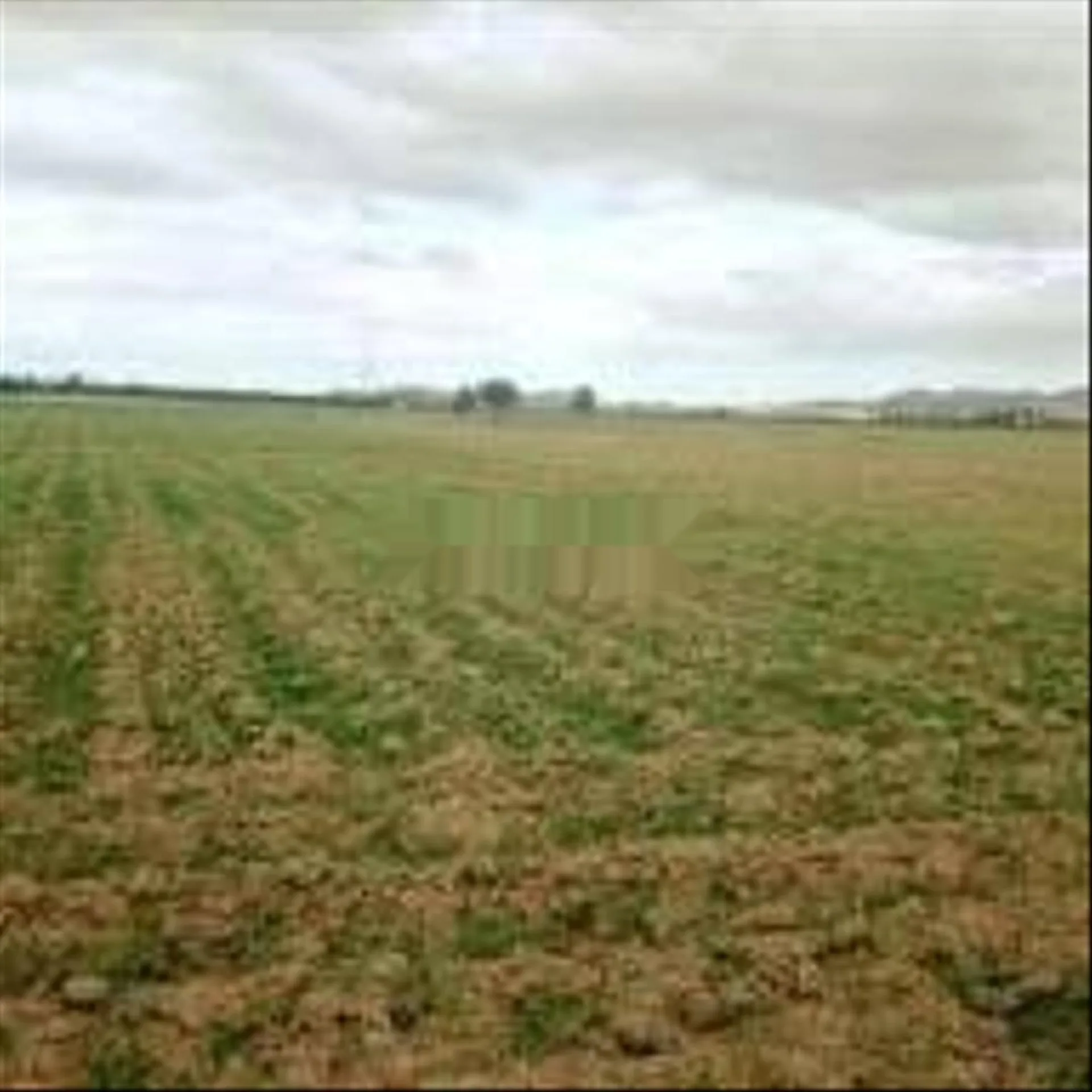 Terrains titrés pour habitation et investissement