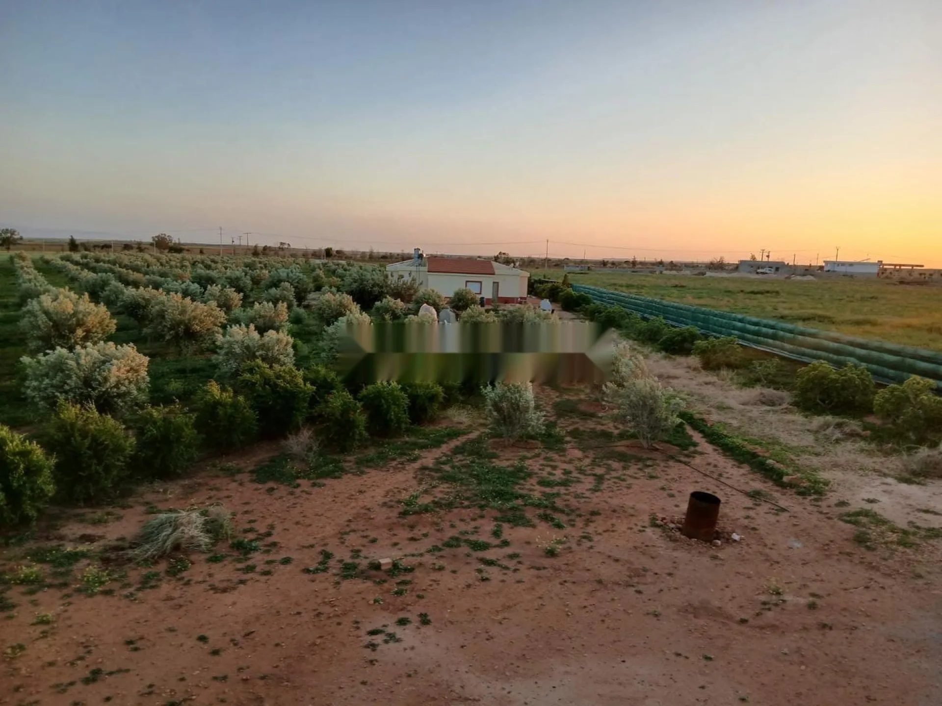 Maison d'exception avec terrain et 400 oliviers