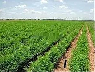 Terrains et fermes enregistrés