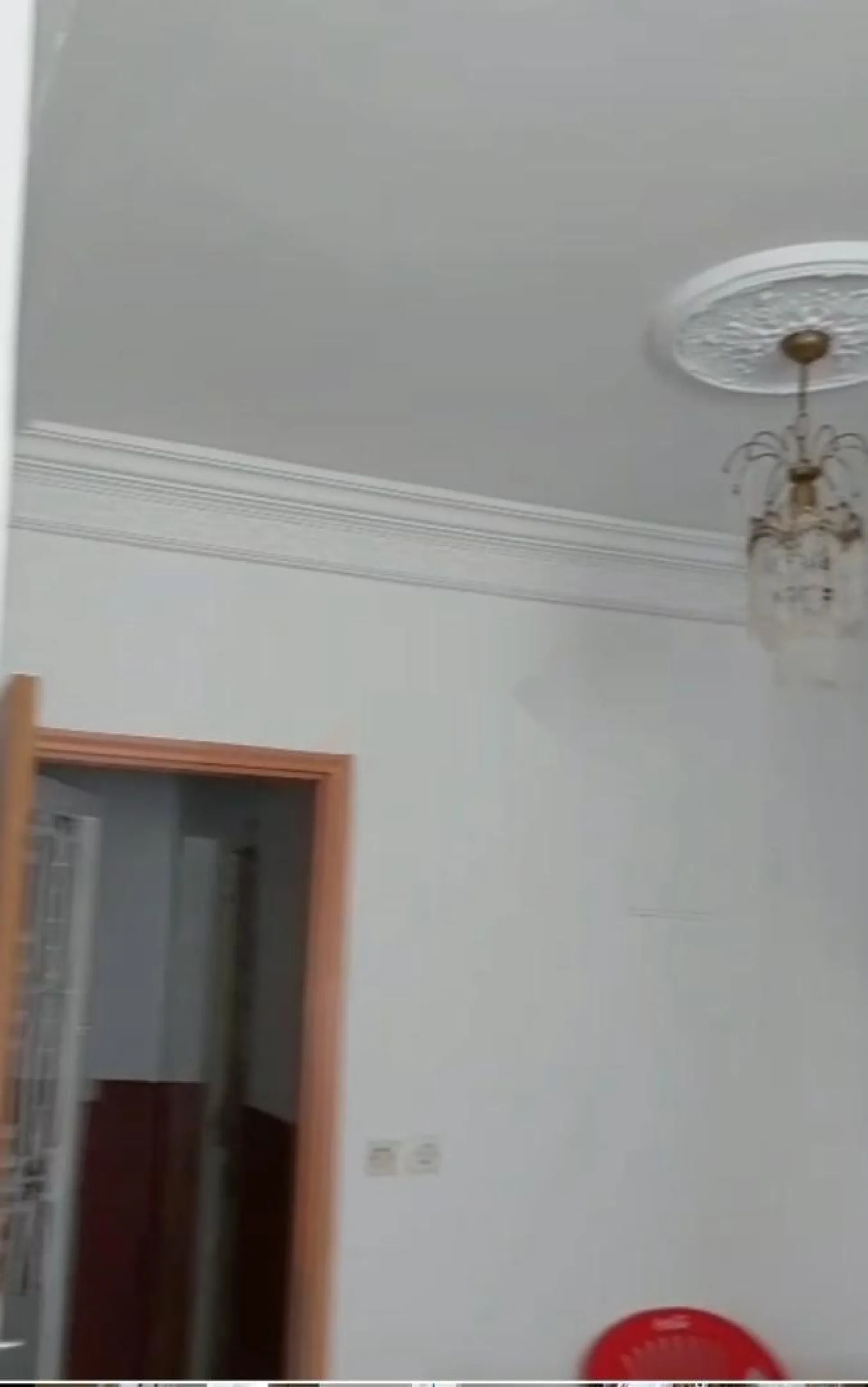 Appartement à louer 56 m²