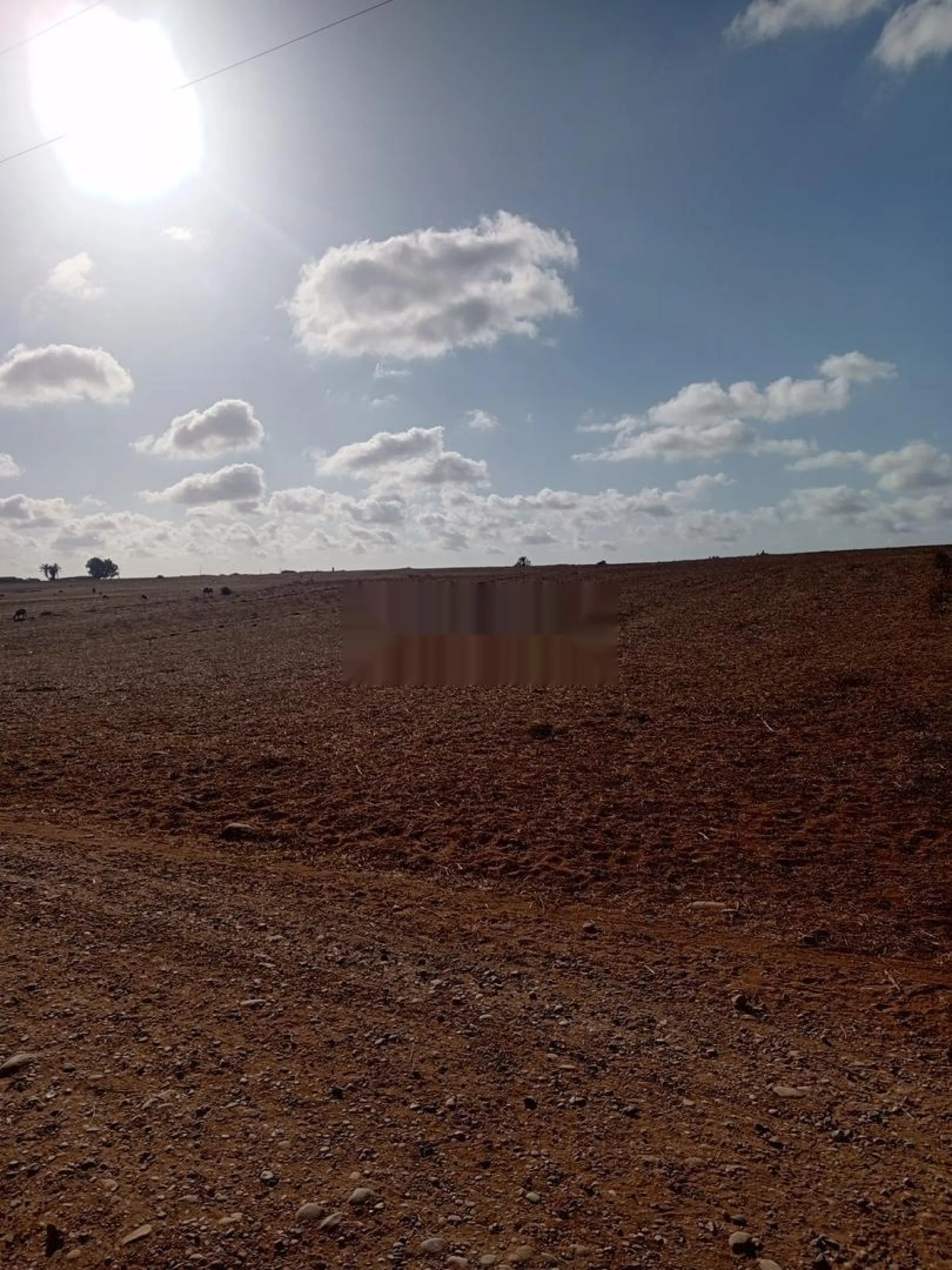 Terrain agricole 4,04 hectares