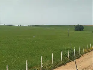 Terrains titrés à Azemmour pour l'agriculture et l'habitation