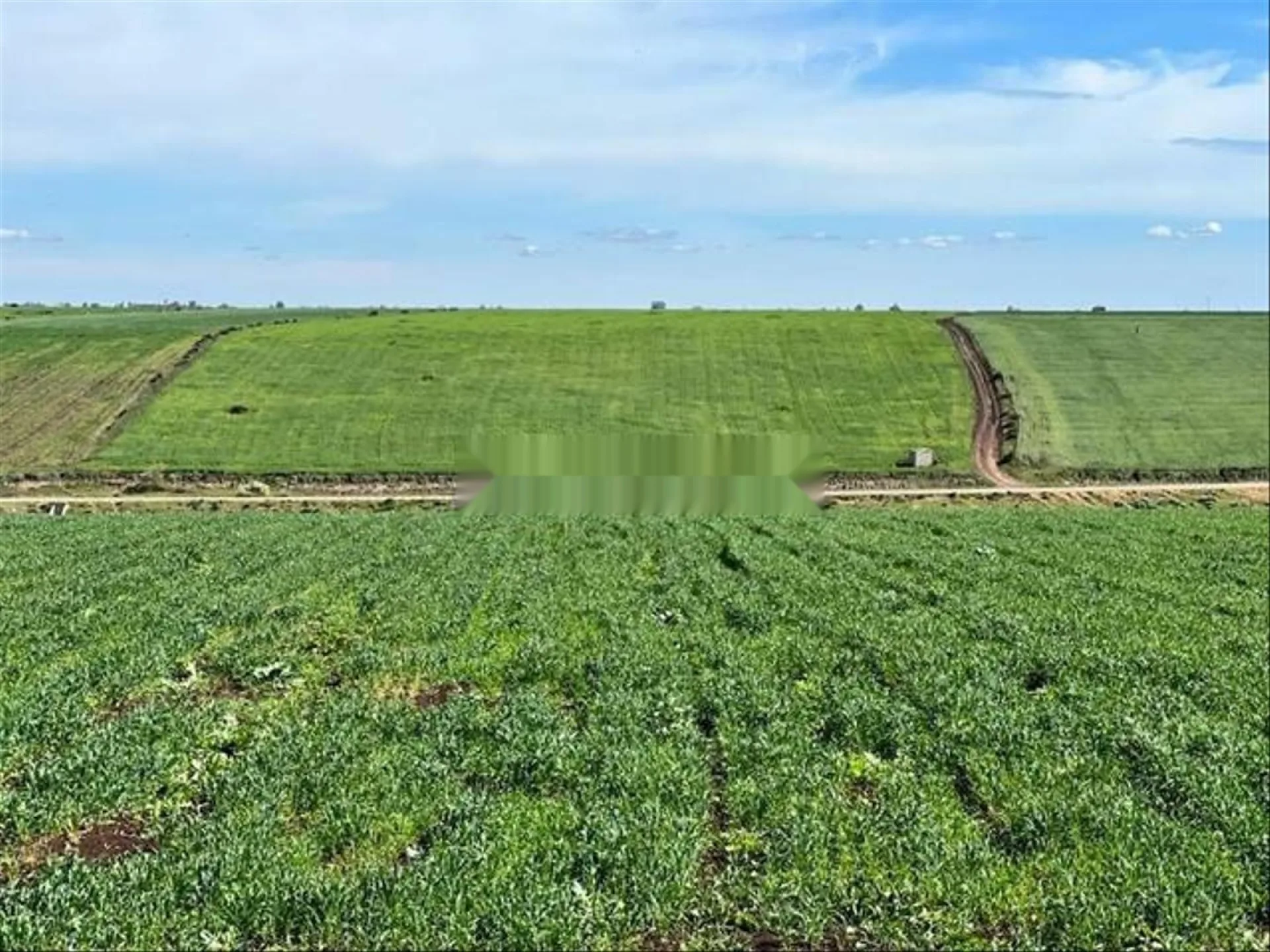 أراضٍ مُحفَّزة للبيع في بير الجديد للفلاحة والاستثمار