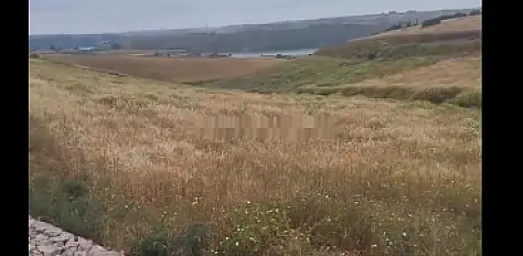Terrain agricole à vendre à Salé Sehoul