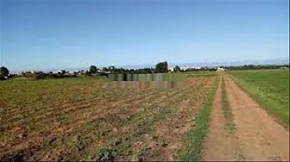 Vente de Terrains & Fermes Titrés