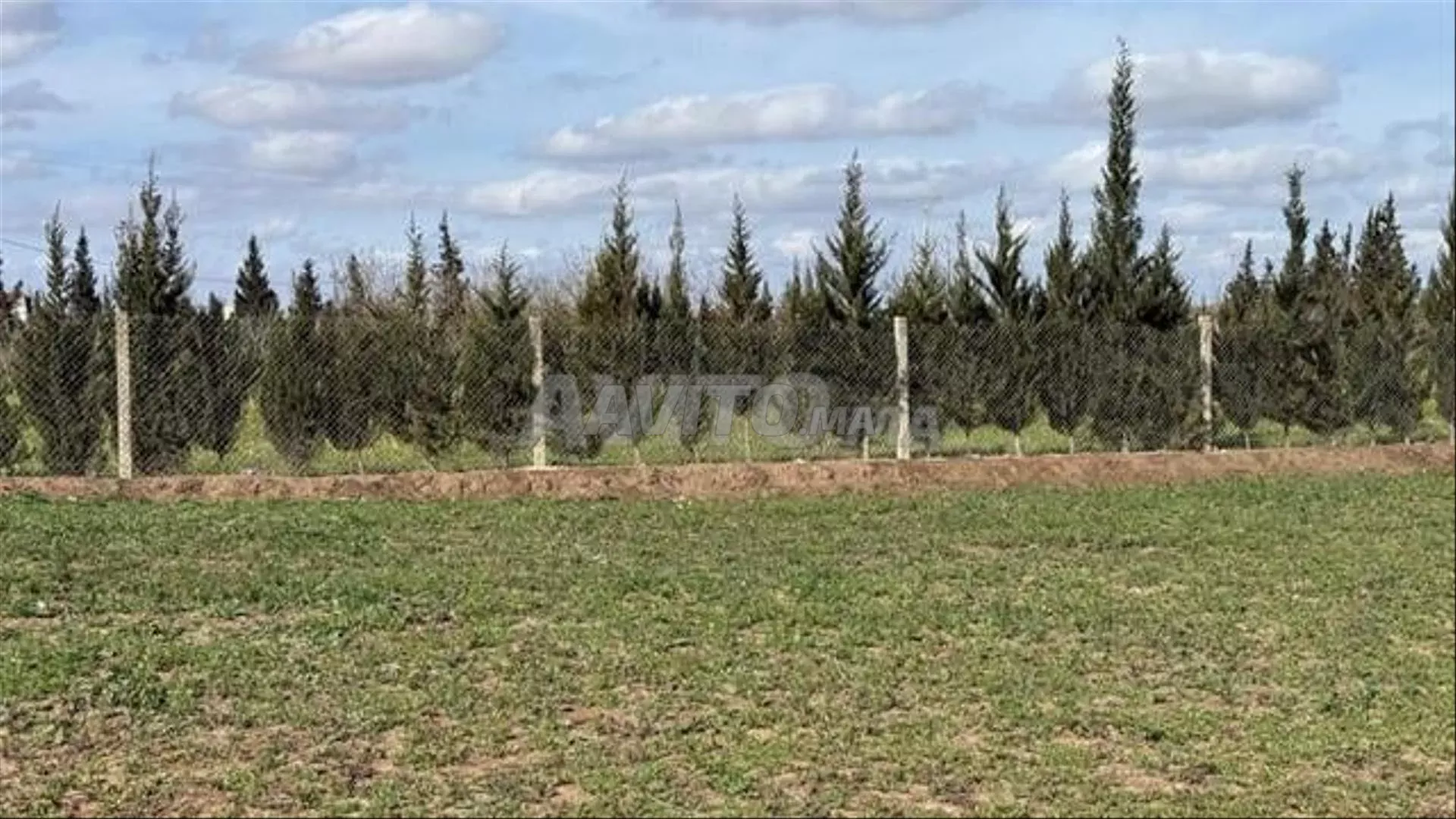 Terrains titrés pour habitation et investissement Bir Jedid