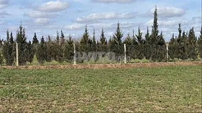 Terrains titrés pour habitation et investissement Bir Jedid