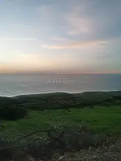 أرض محفظة للبيع بالقرب من مدينة أصيلة (العقبة)