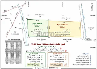 قطعتان أرضيتان للبيع 1600/1500م² سبات الكردان تارودانت
