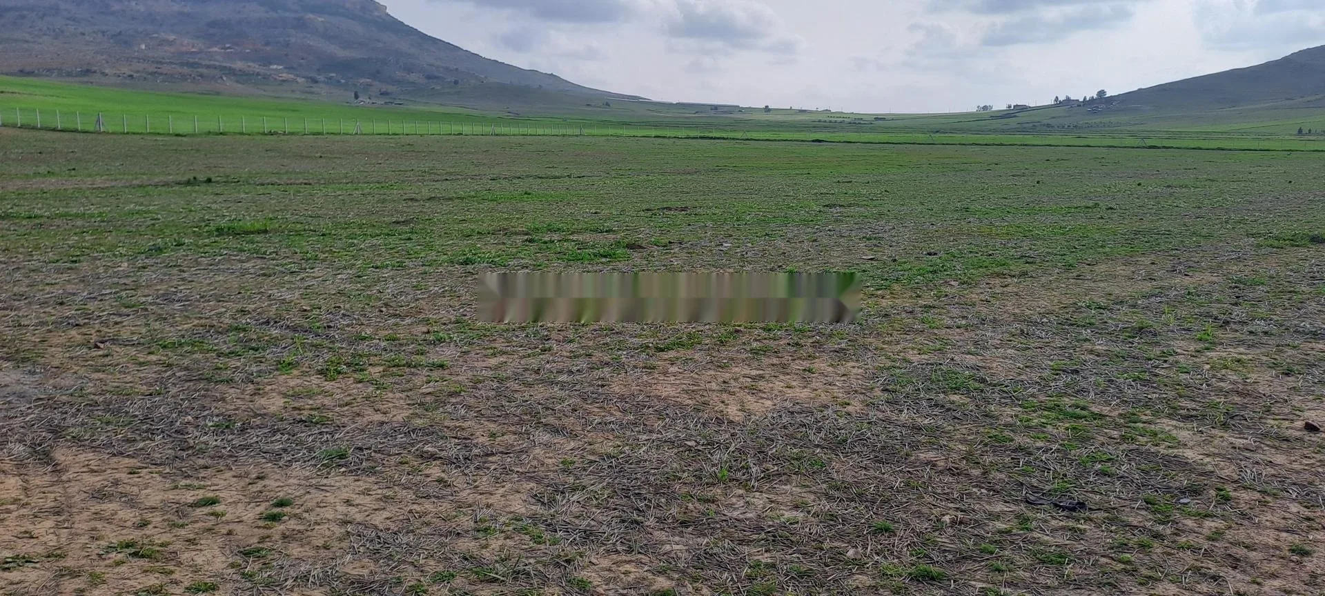 Terrain agricole près de la ville de M'rirt