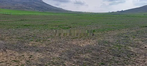 Terrain agricole près de la ville de M'rirt