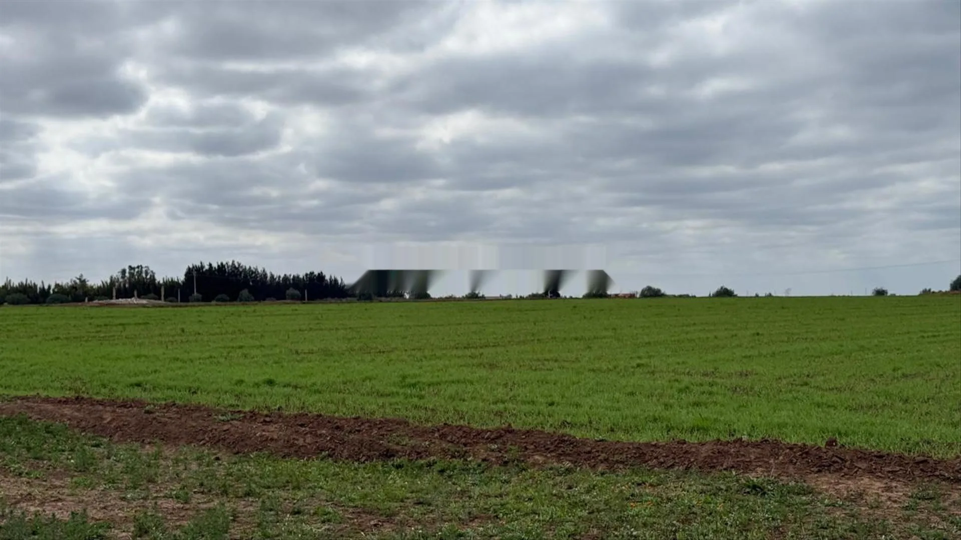 2 hectares agricole titré à Benslimane