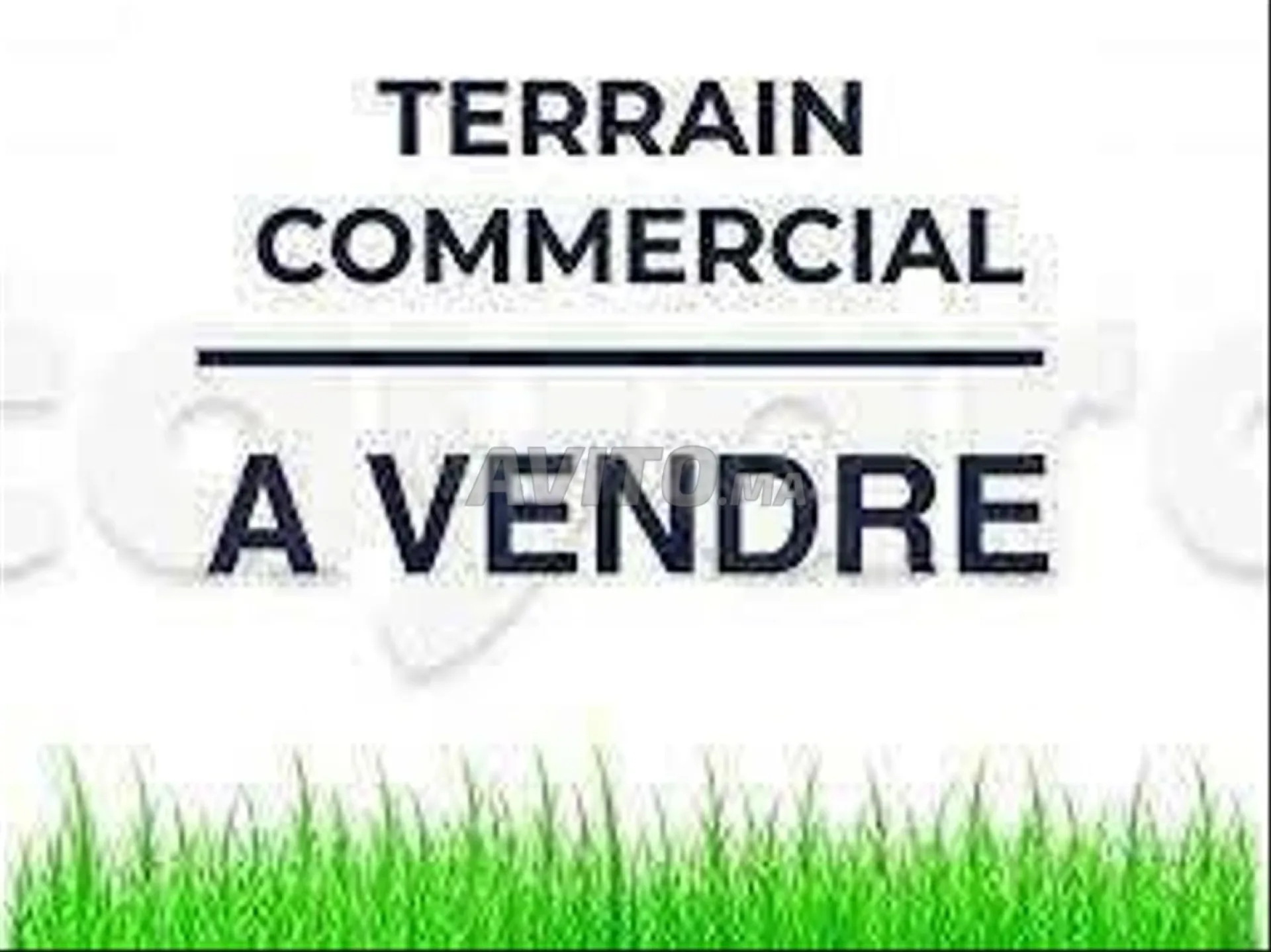 Terrain commercial titré
