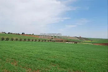 أراضٍ مُحررة (بعقود ملكية) للبيع في بئر الجديد للفلاحة والاستثمار