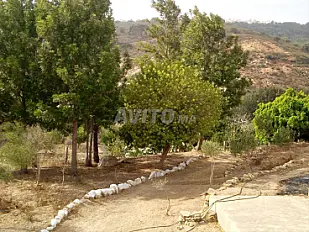 أرض للبيع بمساحة 15000 متر مربع