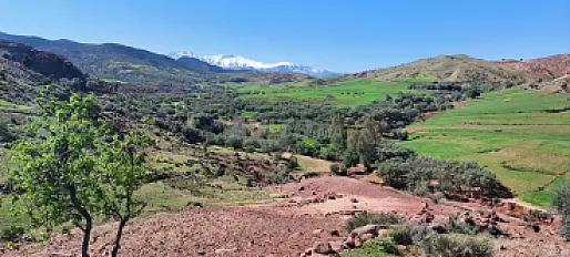 Terrain titré sur la route goudronnée à Vendre
