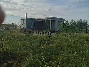 مزرعة للبيع