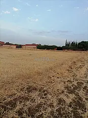 أرض فلاحية محررة بسند ملكية بتامدروست
